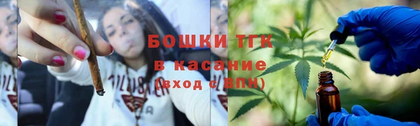 сатива Вязники