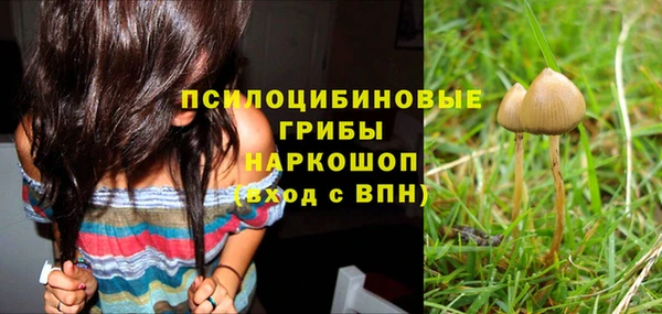 сатива Волоколамск