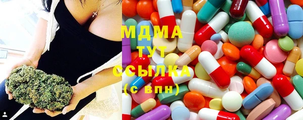 сатива Волоколамск