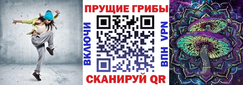 купить наркоту  ссылка на мегу ССЫЛКА  Галлюциногенные грибы Psilocybe  Северская 